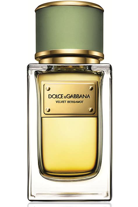 parfum bergamotte dolce gabbana|Velvet Bergamot Dolce&Gabbana for men.